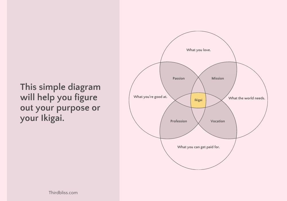 Purpose in life/ikigai diagram